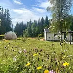 Dome Glamping With Shared Bathroom