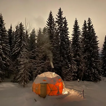 Dome Glamping With Shared Bathroom Лиллехамер