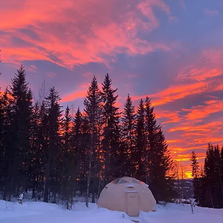 Luxe tent Dome Glamping With Shared Bathroom *