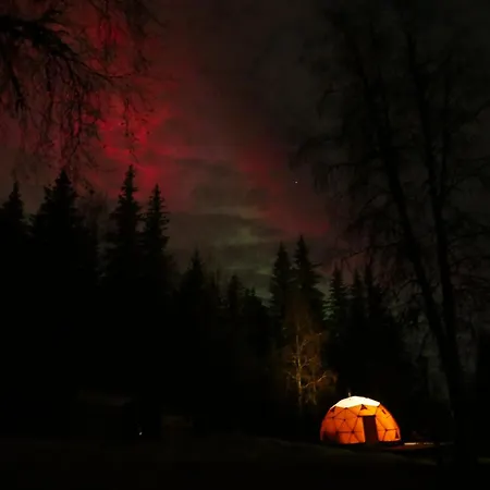 Dome Glamping With Shared Bathroom * לילהאמר