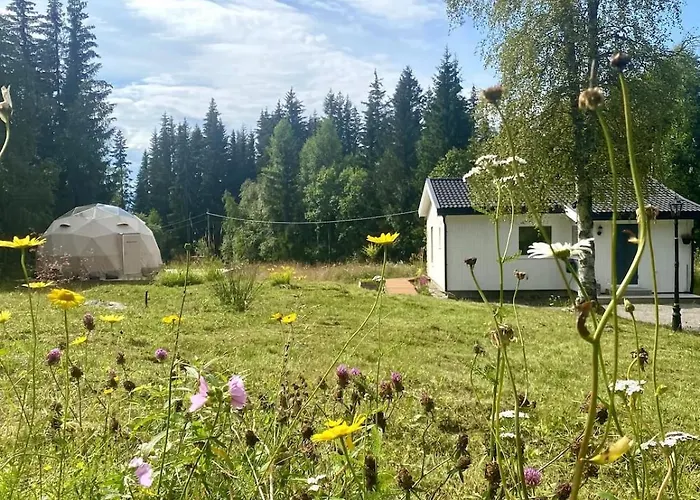 Dome Glamping With Shared Bathroom