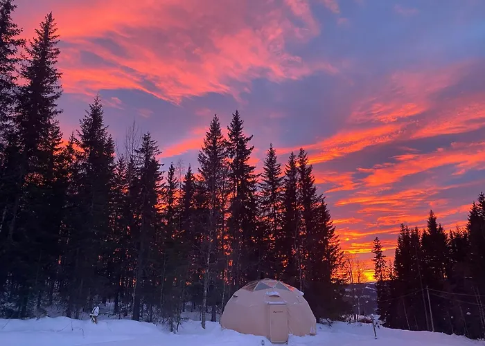 Lyxtält Dome Glamping With Shared Bathroom *