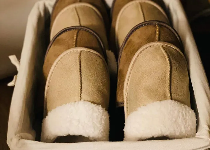 Lyxtält Dome Glamping With Shared Bathroom